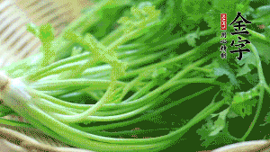 挑選鮮嫩的香菜，洗干凈后，處理成小段。