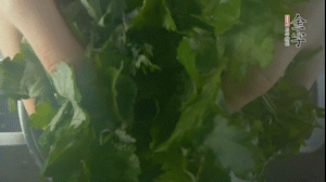 【面皮】1.鍋中水開(kāi)時(shí)，放挑揀好的艾草和一撮小蘇打，第一遍煮開(kāi)后倒掉，重新加水大火煮開(kāi)后，小火煮1小時(shí)。煮爛的艾草用紗布瀝干。